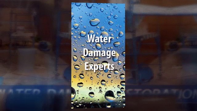 Westminster Water Damage | Repairing Basement Water Damage