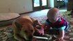 Bébé et chien : de grandes histoires d'amour - Compilation adorable et drole