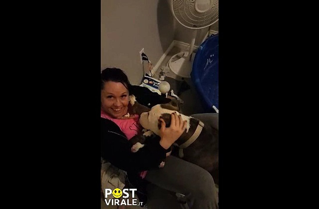 Non crede ai suoi occhi quando la cagnetta le mette i suoi 11 cuccioli in grembo