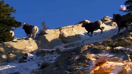 Дикая Америка - Горы