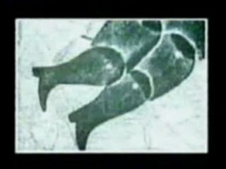 Frank Zappa-Willie The Pimp