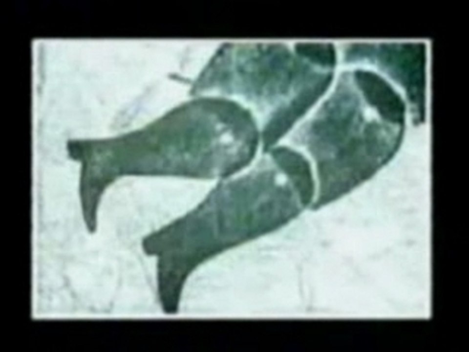 Frank Zappa-Willie The Pimp