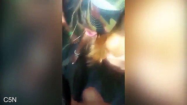 Un bébé dauphin gardé hors de l'eau par des touristes pour des selfies a succombé