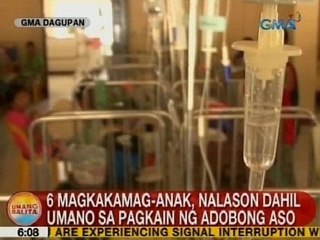 UB: 6 magkakamag-anak sa Pangasinan, nalason dahil umano sa pagkain ng adobong aso