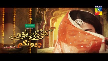 Kitni Girhein Baqi Hain Episode 15 Promo HD HUM TV Drama 30 January 2017