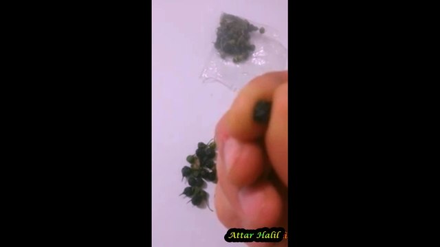 ACI ÇEHRE NEDİR? NE İŞE YARAR? NASIL KULLANILIR? SİNDİRİM PROBLEMİNE %100 ÇÖZÜM