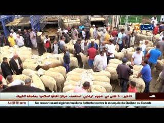 فارس مسدور  .تضخيم الفواتير في حركية .. رخص الاستيراد بوّابة تنشيط بارونات الفساد