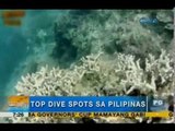 To dive for: Philippines' top diving spots | Unang Hirit