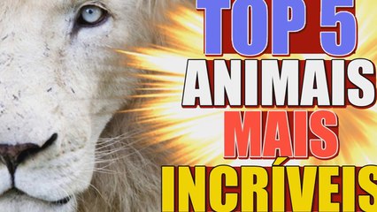 5 ANIMAIS MAIS INCRÍVEIS DO MUNDO