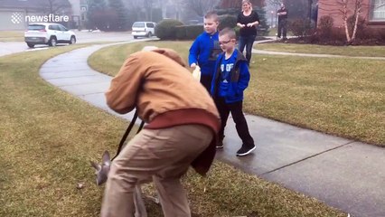 Boy, 6, races kangaroo and ends up beating it