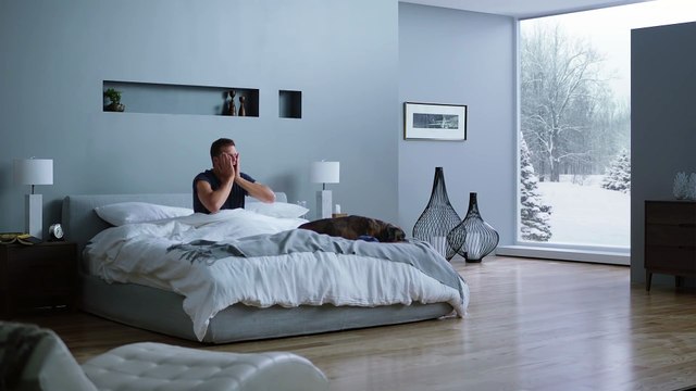 Intel Brady Everyday avec Tom Brady Super Bowl 2017