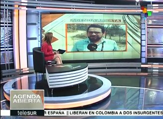 Sector maderero chileno muy afectado por los incendios forestales