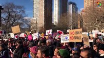 Protests Against Trump's Travel Ban Continues