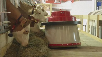 Ферма майбутнього: працюватимуть переважно роботи