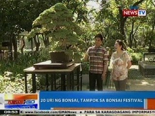 NTG: 20 uri ng Bonsai, tampok sa Bonsai Festival