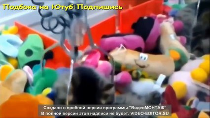 Приколи 2016  Випуск 260. Самые смешные приколы 2016