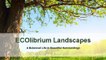 Sydney Landscape Contractors | Landscape Design | ECOlibrium Landscapes