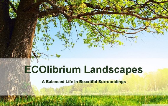 Sydney Landscape Contractors | Landscape Design | ECOlibrium Landscapes
