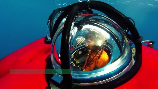 Brésil : plongée au cœur d'un récif de corail méconnu