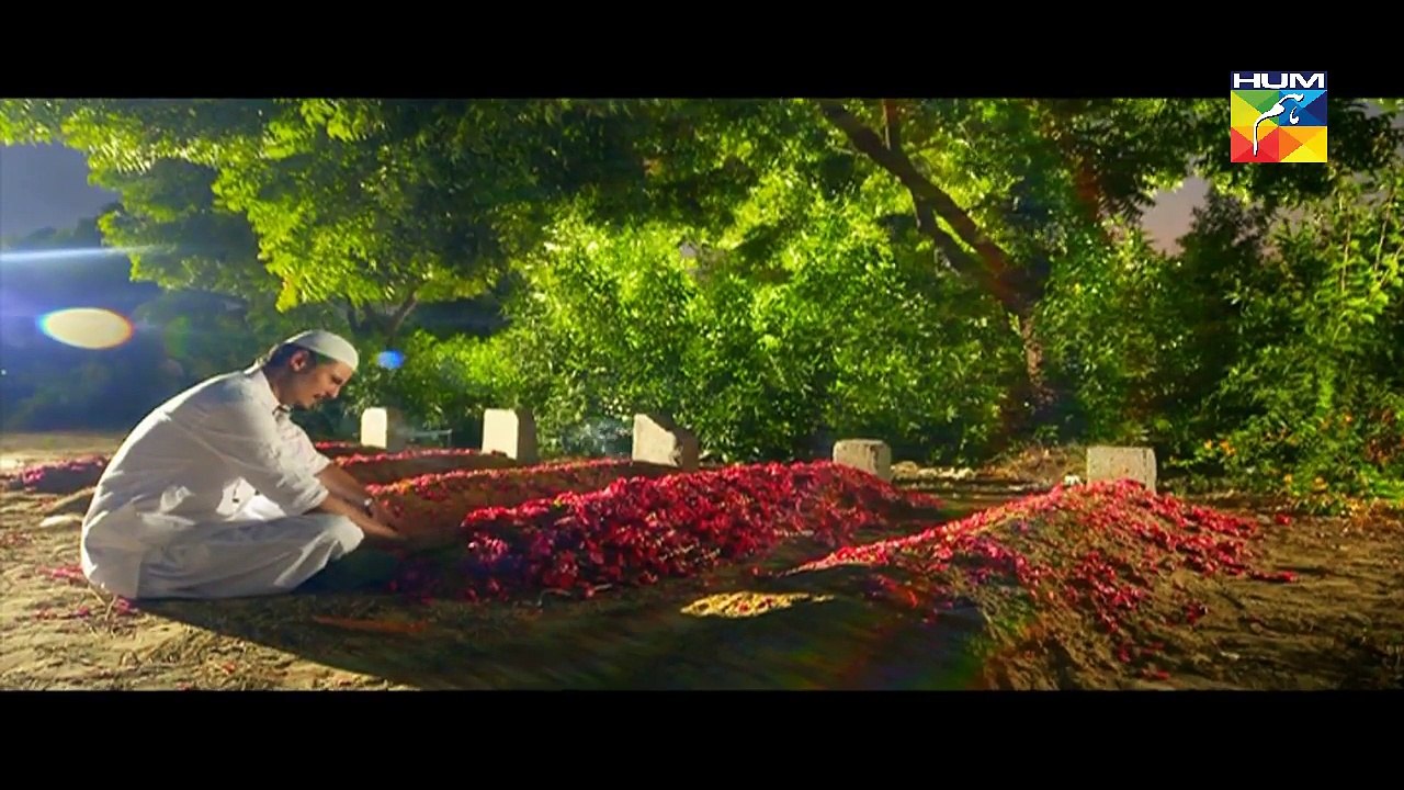 Sanam Episode 21 Full HD HUM TV Drama 30 January 2017