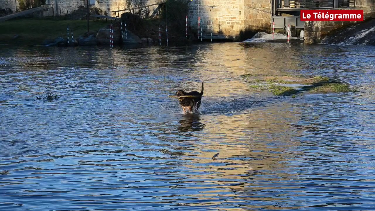 Guingamp. Le Trieux au plus bas : Pattemole renonce à ses plongeons mais pas à ses bâtons !