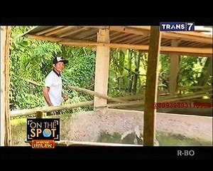 Kesederhanaan Cina Benteng di Tanggerang [On The Spot]