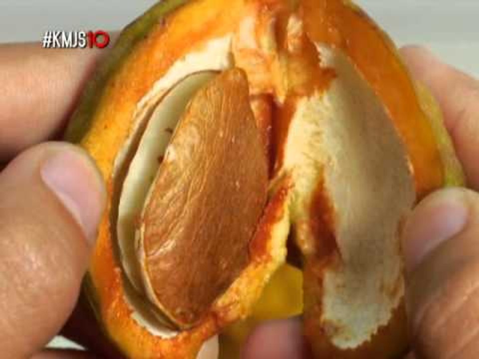 The goodness of Philippine exotic fruits | KMJS