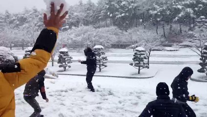 Amazing Weather In South Korea