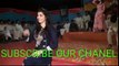 New Super hit Pakistani Mujra . Meda Yar Lamy Da Saraiki Song Weeding Dance 2016 (latest song) - BEST4YOU