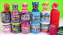 Paw Patrol Super Pups Mashems Fashems Toy Show! Disney, Hello Kitty, Fun Kids Surprise Toys Video