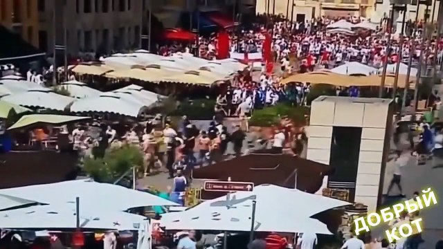 ЛУЧШИЕ ПРИКОЛЫ ДОБРЫЙ КОТ №31 июнь 2016