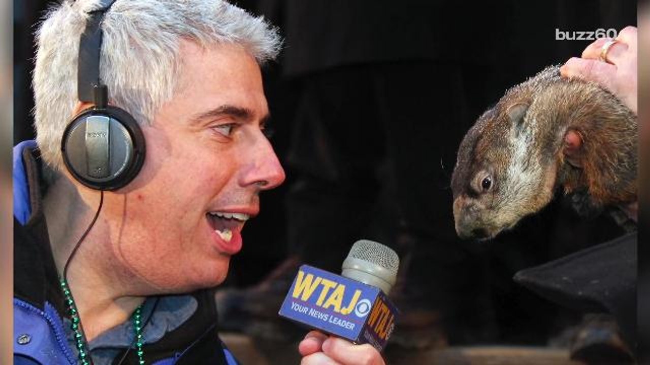 Adorable Groundhog Draws Super Bowl Size Crowds