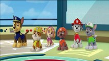 Paw Patrol Game - Paw Patrol Full Episodes Pups Save The Day - Paw Patrol