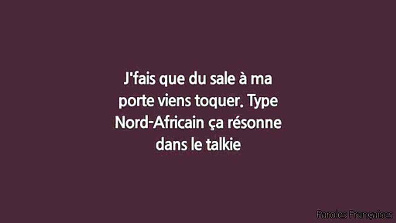 Hornet La Frappe - Nos Vies (Paroles⁄Lyrics)