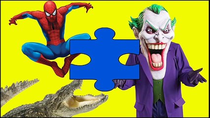 FROZEN ELSA vs CROCODILE IN TOILET w/ SPIDERMAN, SHARK, PINK SPIDERGIRL SUPERHEROES #ANIMATION