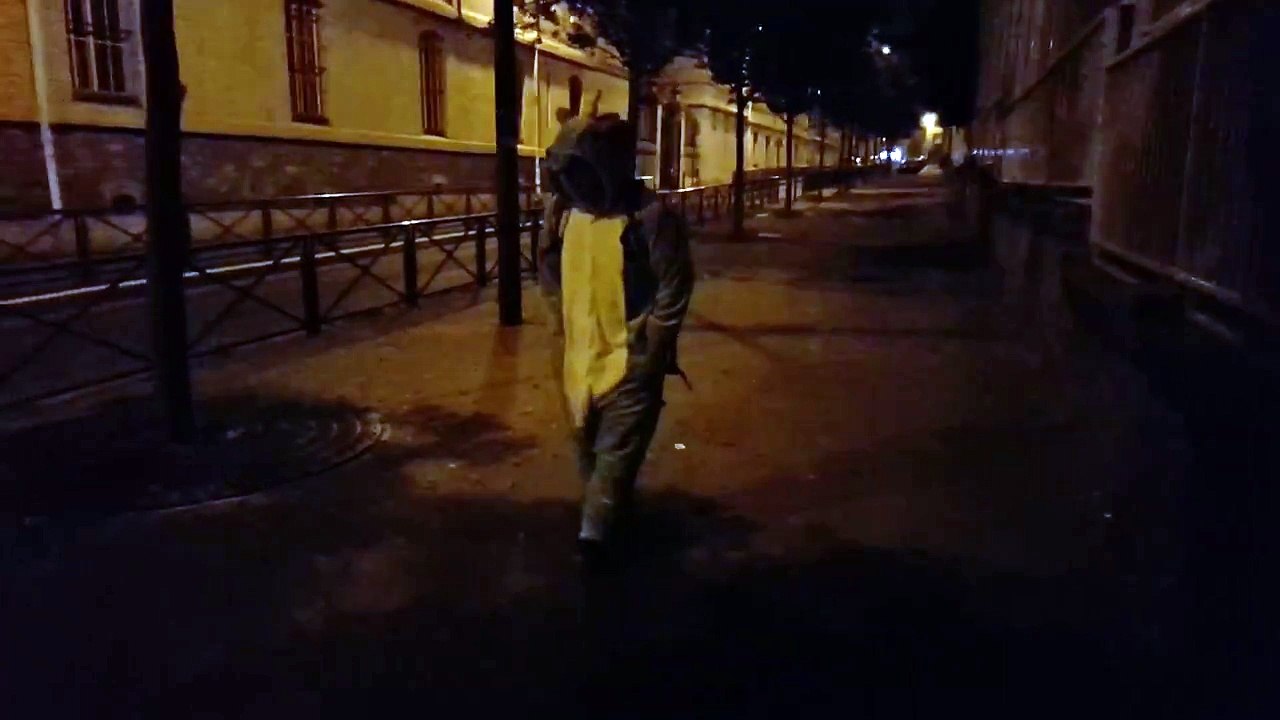 Passacorne dans les rues de Paris en octobre 2016 (3/3)