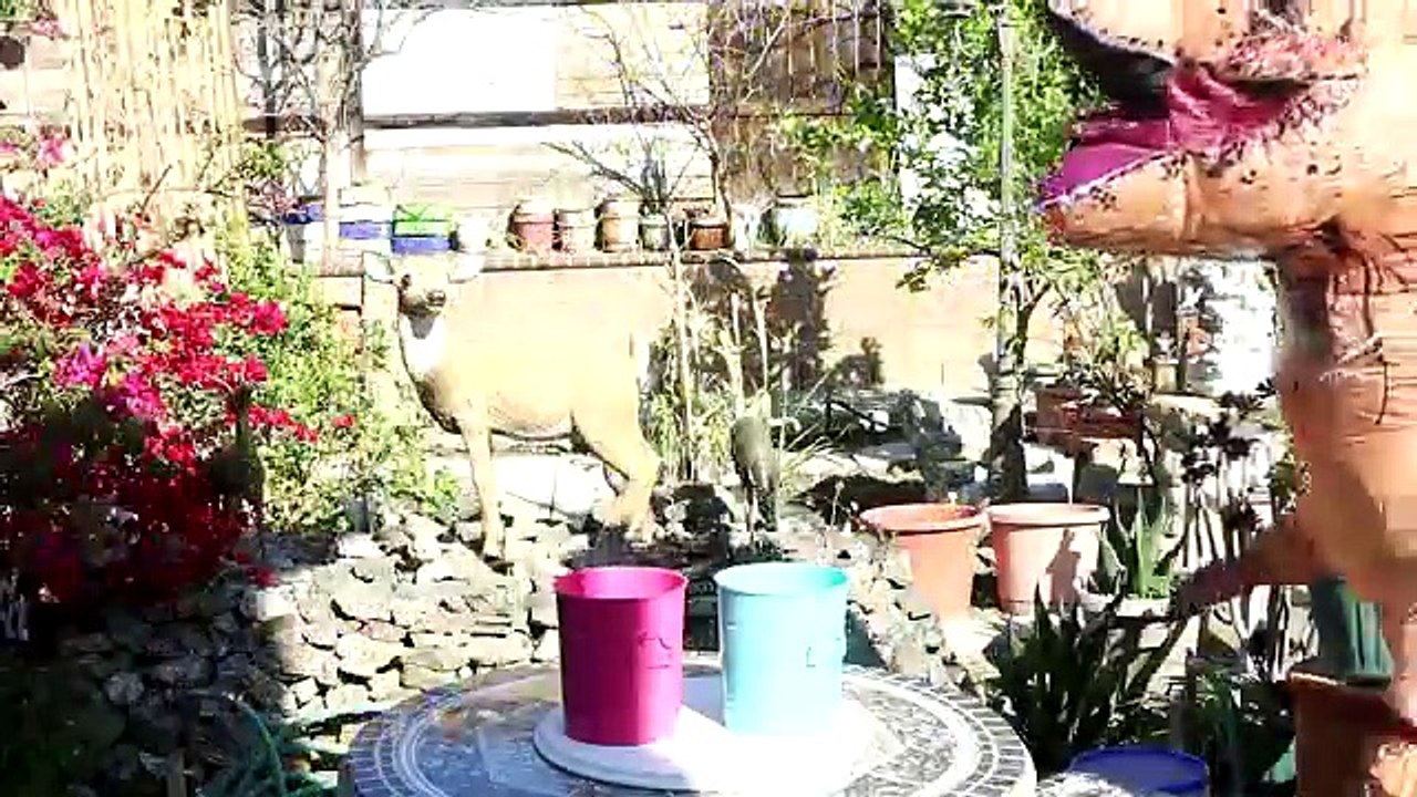 Spiderman Eating a Giant Donut! w/ Minnie Mouse, Paw Patrol Chase, Skye & Witch in Real Life