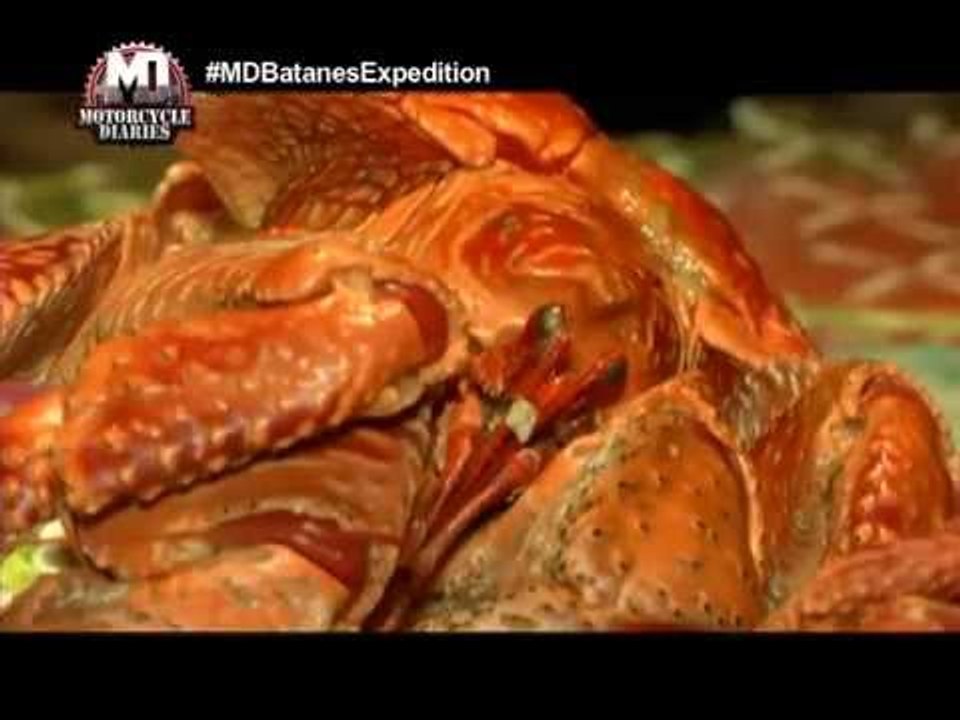 Jay Taruc catches tatus in Batanes | Motorcycle Diaries