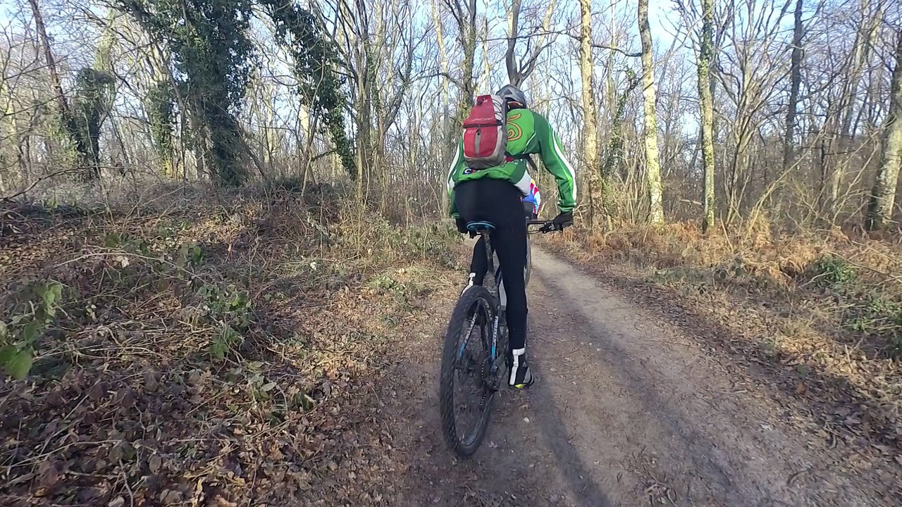 Circuit du bois de Longueval