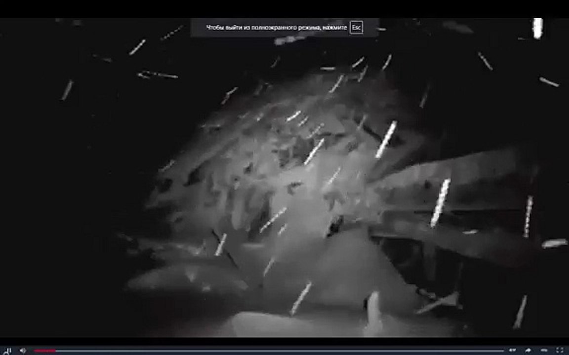 Первое видео спасательной операции на месте обрушения лавины на отель в Италии