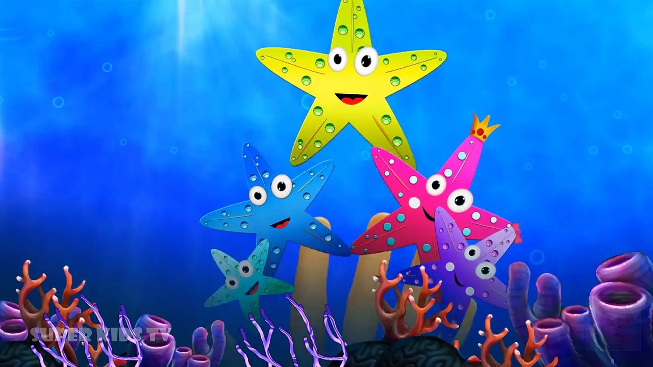 Starfish Finger Family | Finger Family Star Family Nursery Rhyme | Fish Finger Family