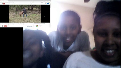 kangaroo gets punched!!!