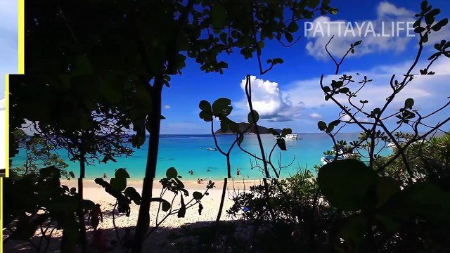 Новости Паттайи, отели. Путевка в Таиланд. Все на одном сайте