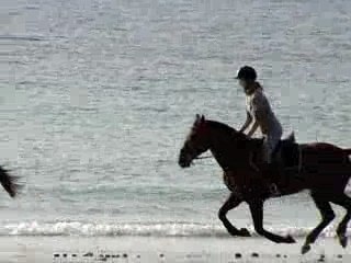 Clem et Kouros a fond !!