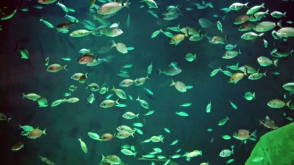 مسلسل حطام الموسم الثالث الحلقة 17 – قسم 3 –