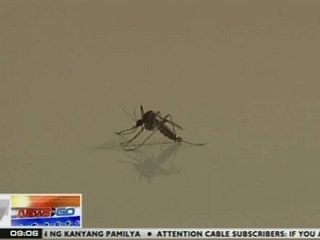 NTG: Luna, Isabela, nagdeklara ng state of calamity dahil sa dami ng kaso ng dengue