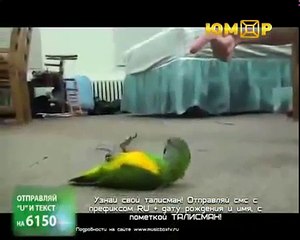 Best video jokes #40  Super best fails compilation