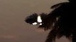 UFO Unidentified flying object