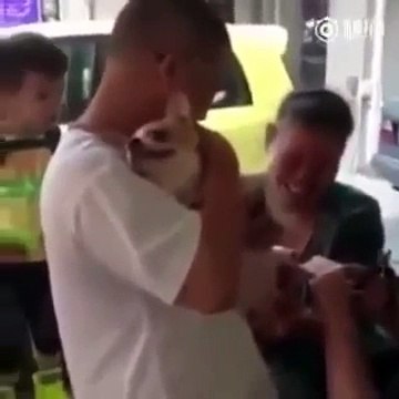 Реакция собаки на педикюр