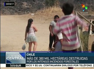 Chile: civiles se organizan para ayudar a afectados por incendios